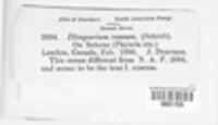 Image Associated With the Occurence